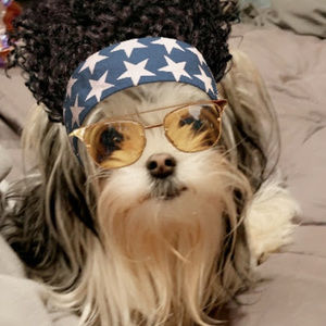 Meet your Posher, Sandy